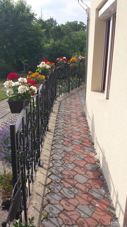 Zempleni Vendeghaz Erdobénye Exterior foto
